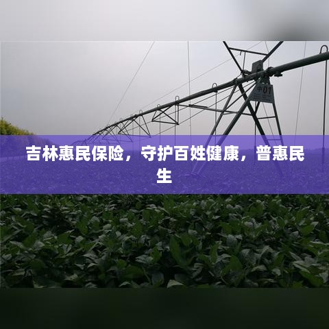 吉林惠民保险,守护百姓健康,普惠民生保障-图1 吉林惠民保险,守护百姓健康,普惠民生保障-图1