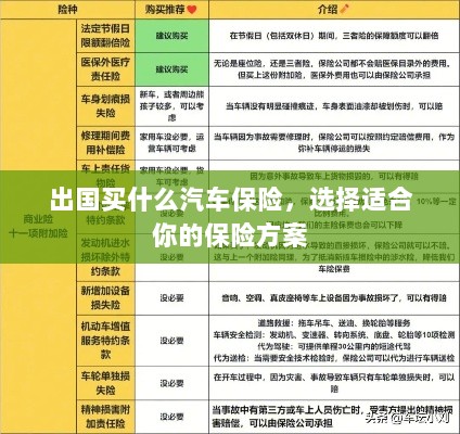 出国购车保险指南，如何选择适合你的汽车保险方案-图1
