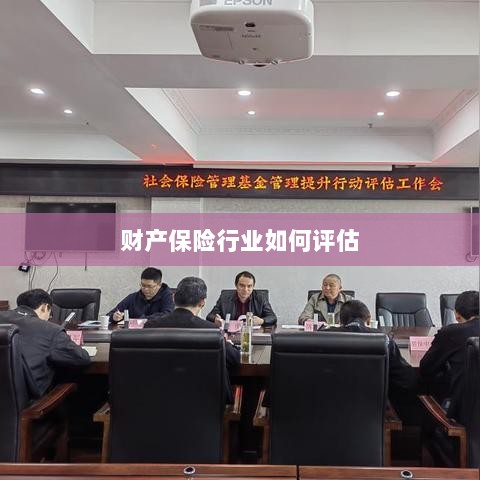 财产保险行业评估方法与策略解析-图1