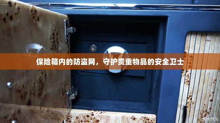 保险箱内防盗网,守护贵重物品的安全屏障-图1 保险箱内防盗网,守护贵重物品的安全屏障-图1