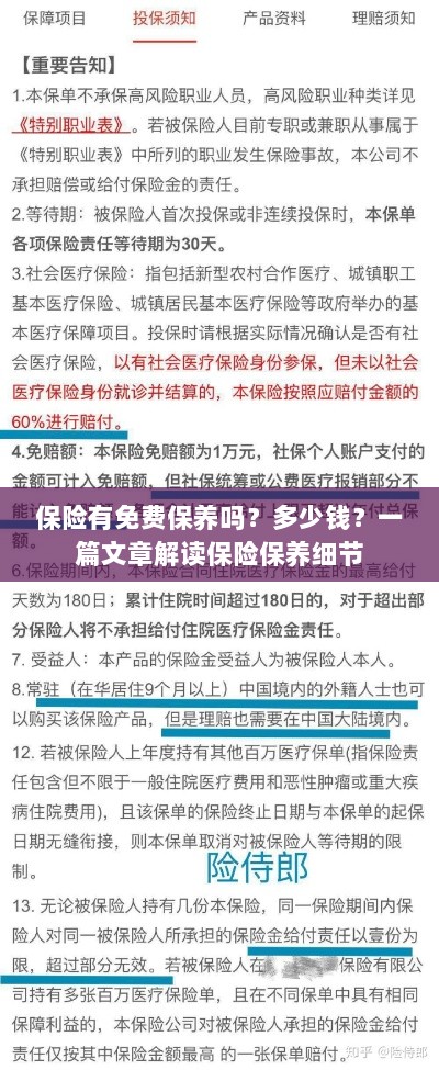 解读保险保养细节,免费保养政策与费用解析-图1 解读保险保养细节,免费保养政策与费用解析-图1
