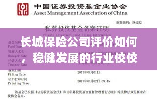 长城保险公司评价积极,行业稳健发展的佼佼者-图1 长城保险公司评价积极,行业稳健发展的佼佼者-图1