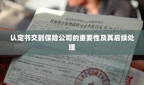 认定书交到保险公司的重要性及后续处理流程详解-图1 认定书交到保险公司的重要性及后续处理流程详解-图1