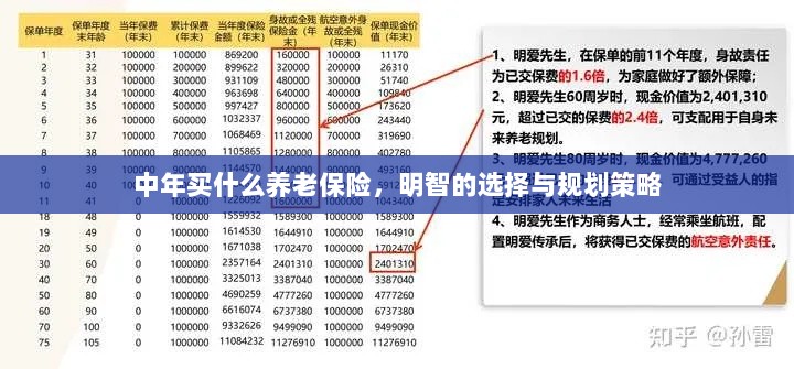 中年明智之选,养老保险的规划与策略-图1 中年明智之选,养老保险的规划与策略-图1