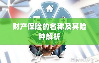 财产保险名称及险种深度解析-图1 财产保险名称及险种深度解析-图1