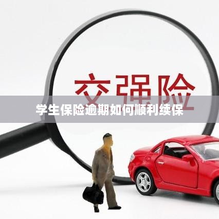 学生保险逾期续保攻略,顺利过渡无忧保障-图1 学生保险逾期续保攻略,顺利过渡无忧保障-图1