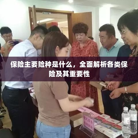 全面解析,保险主要险种及其重要性介绍-图1 全面解析,保险主要险种及其重要性介绍-图1