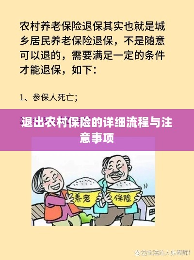 退出农村保险的详细流程与注意事项全解析-图1