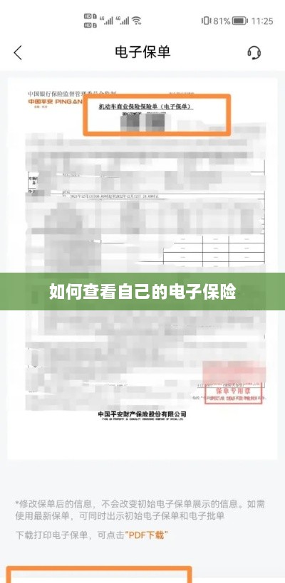 如何查看个人电子保险保单详情-图1