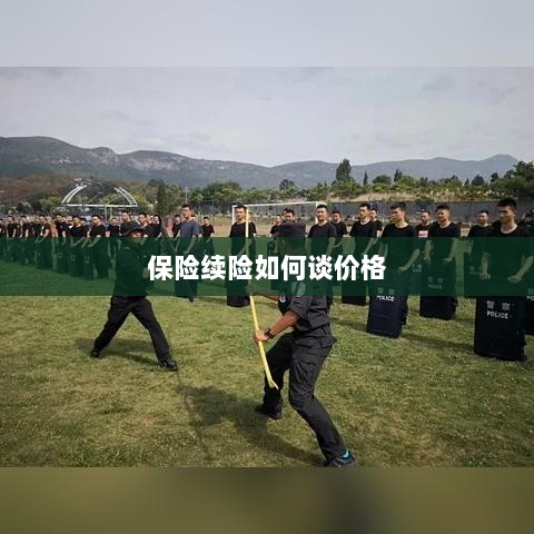 保险续险价格谈判攻略-图1 保险续险价格谈判攻略-图1