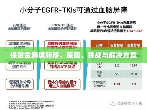 保险金跨境转移,策略、挑战及解决方案探讨-图1 保险金跨境转移,策略、挑战及解决方案探讨-图1