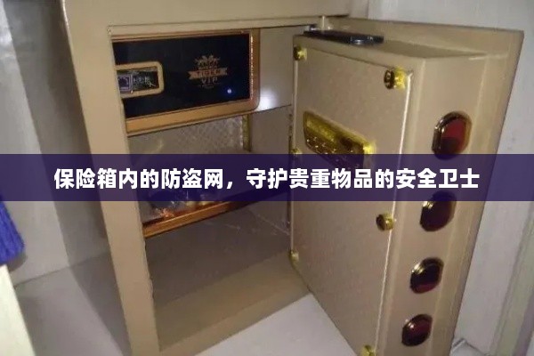 保险箱内防盗网,守护贵重物品的安全屏障-图1 保险箱内防盗网,守护贵重物品的安全屏障-图1