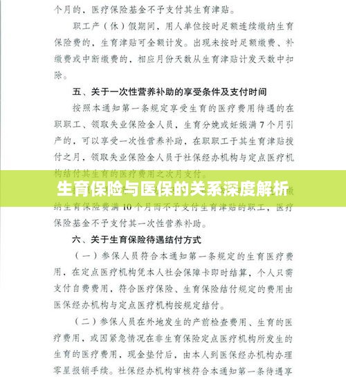生育保险与医保关系的深度探讨-图1 生育保险与医保关系的深度探讨-图1