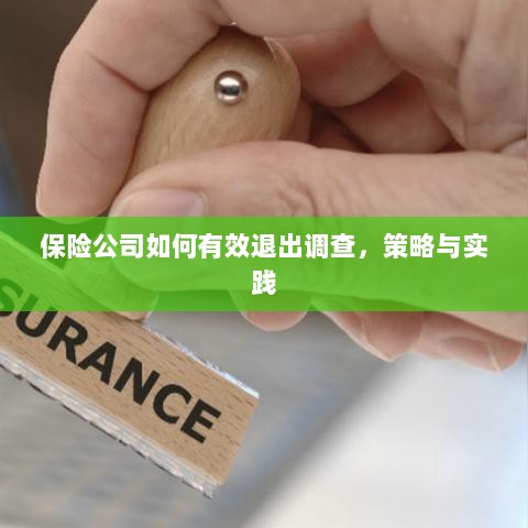 保险公司有效退出调查的策略与实践探讨-图1
