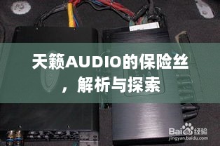 天籁AUDIO保险丝解析与探索-图1