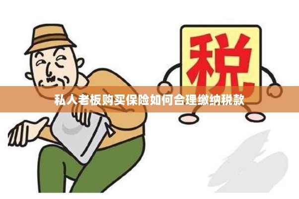 私人老板购买保险如何合理缴税，策略与指南-图1