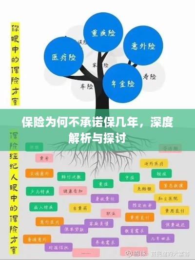深度解析与探讨,保险承诺期限的隐衷与考量-图1 深度解析与探讨,保险承诺期限的隐衷与考量-图1