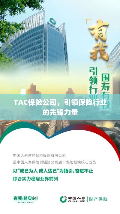 TAC保险公司，引领保险行业的先锋典范-图1