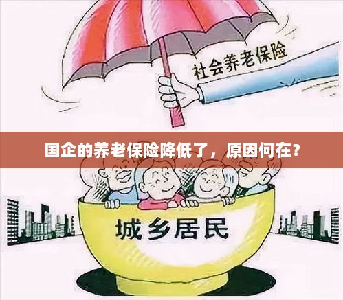 国企养老保险降低的原因探究-图1
