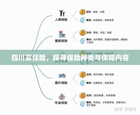 四川保险探秘,种类与保障内容全解析-图1 四川保险探秘,种类与保障内容全解析-图1