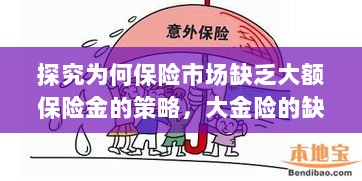 大额保险金策略缺失解析，探究保险市场大金险缺失原因-图1