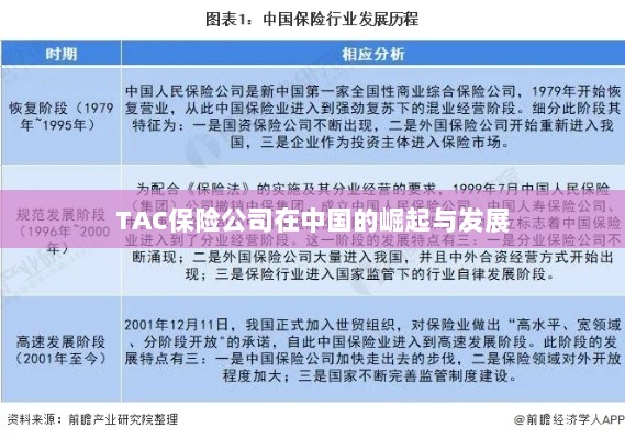 TAC保险公司在中国的崛起与蓬勃发展之路-图1