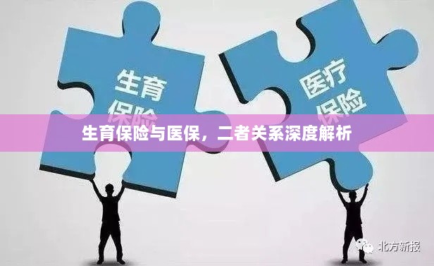 生育保险与医保的关系深度探讨与解析-图1