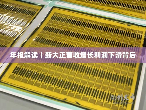 年报深度解析，新大正营收增长背后的利润下滑原因-图1