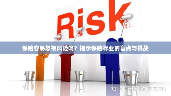 保险行业盲点揭秘，易被忽视的风险与挑战探究-图1