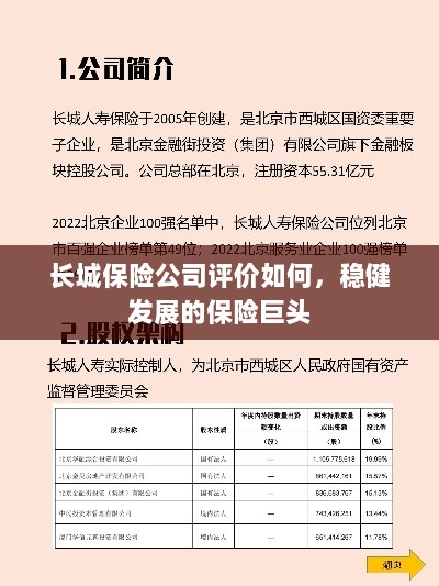 长城保险公司评价及稳健发展的保险巨头概况-图1 长城保险公司评价及稳健发展的保险巨头概况-图1