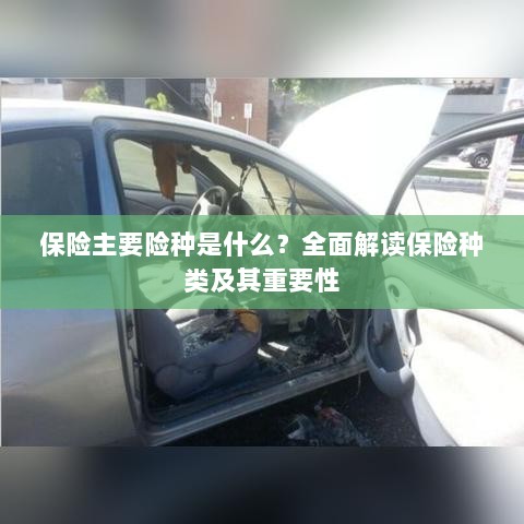 全面解读,保险的主要险种及其重要性-图1 全面解读,保险的主要险种及其重要性-图1