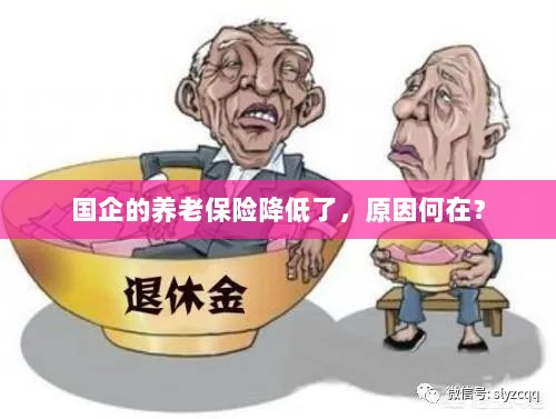 国企养老保险降低的原因探究-图1
