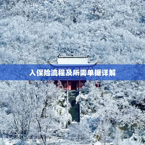 保险投保流程与所需单据全面解析-图1