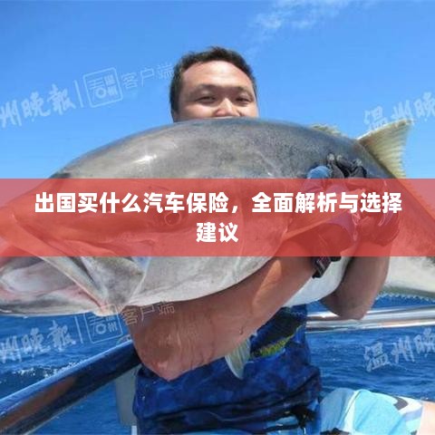 全面解析与选择建议,出国应购买哪些汽车保险?-图1 全面解析与选择建议,出国应购买哪些汽车保险?-图1