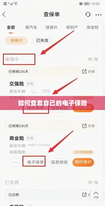 如何查看个人电子保险保单详情-图1