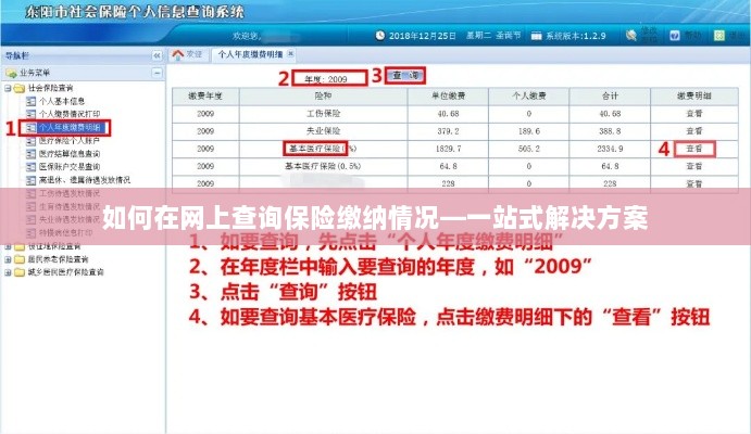 网上查询保险缴纳情况，一站式解决方案指南-图1