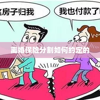 离婚保险分割约定详解-图1
