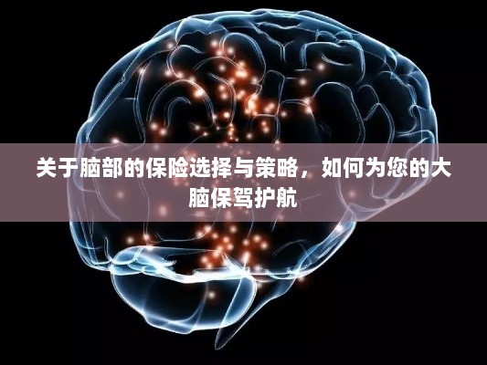 如何为大脑保驾护航，选择最佳脑部保险策略与方案-图1