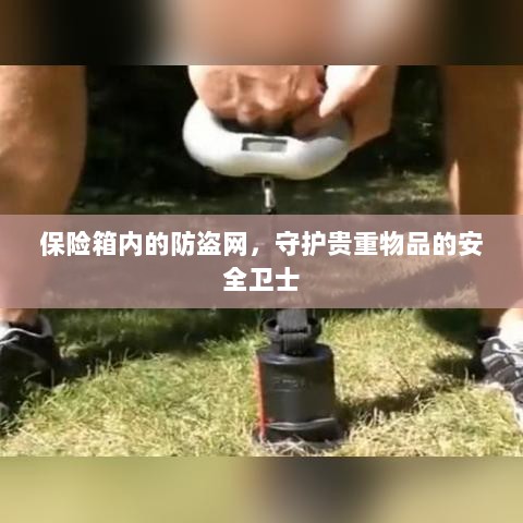 保险箱内防盗网,守护贵重物品的安全屏障-图1 保险箱内防盗网,守护贵重物品的安全屏障-图1