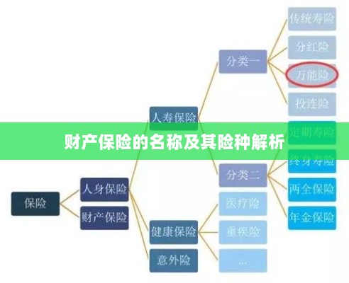 财产保险名称及险种深度解析-图1