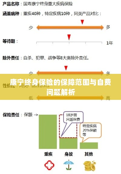 康宁终身保险保障范围及自费问题详解-图1