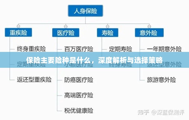 深度解析保险主要险种,选择策略与必备知识指南-图1 深度解析保险主要险种,选择策略与必备知识指南-图1