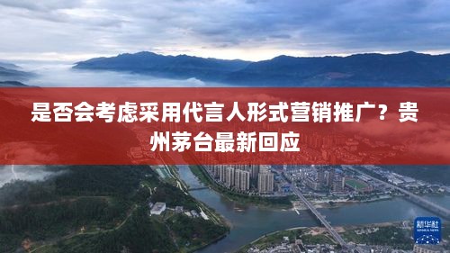 贵州茅台对于采用代言人形式营销推广的回应与展望-图1 贵州茅台对于采用代言人形式营销推广的回应与展望-图1