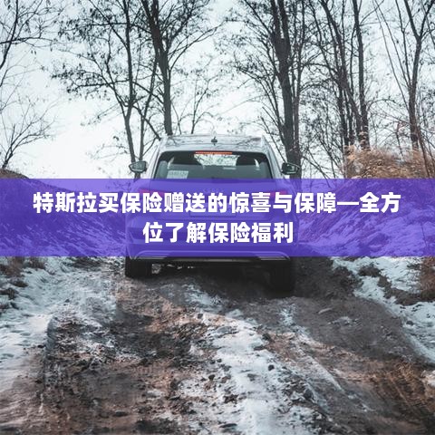 特斯拉买保险赠送的惊喜与全方位保障福利解析-图1