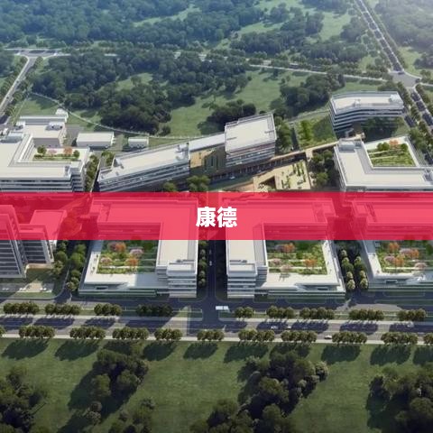 药明康德稳健增长，CRDMO模式验证双位数增长，驱散市场疑虑-图1