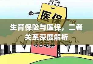 生育保险与医保的关系深度探讨与解析-图1
