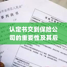 认定书交到保险公司的重要性及后续处理流程详解-图1 认定书交到保险公司的重要性及后续处理流程详解-图1