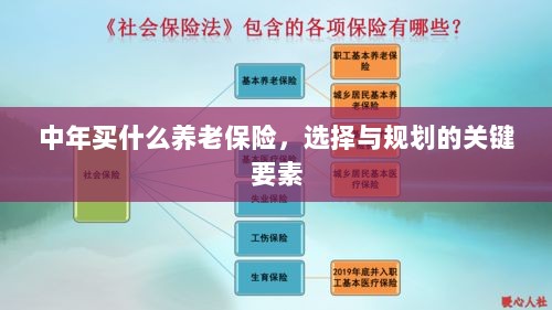 中年养老保险选择与规划的关键要素解析-图1