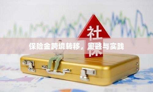 保险金跨境转移的策略与实践探讨-图1