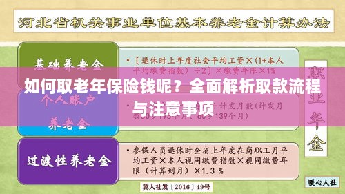 全面解析,老年保险取款流程与注意事项指南-图1 全面解析,老年保险取款流程与注意事项指南-图1